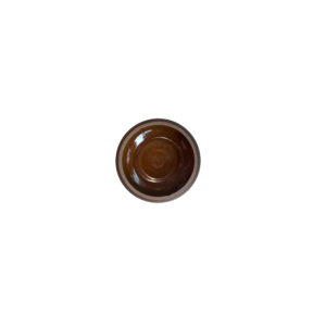 Terra